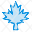 canada-leaf-maple-icon