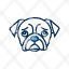canine-dog-dog-head-pet-pet-shop-icon