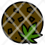 cannabis-cookies-medical-marijuana-useage-icon