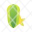carambola-healthy.fruit-icon
