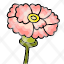 carnation-flower-spring-gardening-plant-icon