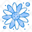 carnival-flower-sun-icon