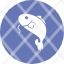 carp-fish-seafood-catfish-icon