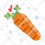 carrot-diet-food-nutrition-icon