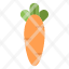 carrot-food-easter-nature-icon