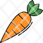 carrot-food-organic-farming-gardening-icon