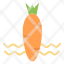 carrot-food-vegetable-spring-icon