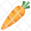 carrot-healthy-food-diet-vegan-organic-icon