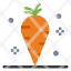 carrot-thanksgiving-vegetable-vitamin-icon