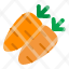 carrot-vegetable-food-orange-icon