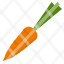 carrot-vegetable-food-plant-green-root-icon