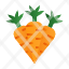 carrot-vegetable-rabbit-spring-garden-icon