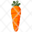 carrotsfood-restaurant-organic-vegan-healthy-food-diet-vegetarian-vegetable-icon