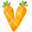 carrotvegetable-diet-healthy-food-organic-vegan-vegetarian-restaurant-icon