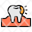cavity-icon