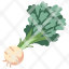 celeriac-food-vegetable-agriculture-fresh-healthy-icon