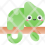 chameleon-icon