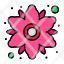 chamomile-floral-flower-plant-icon