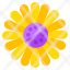 chamomile-flower-floweret-blossom-botany-icon