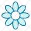 chamomile-flower-plant-blossom-garden-floral-nature-icon