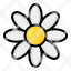 chamomile-flower-plant-blossom-garden-floral-nature-icon