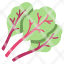 chard-leaf-plant-healthy-organic-vegetable-icon