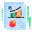 chart-document-pie-report-icon