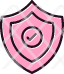 check-protect-protection-safety-security-shield-security-guard-icon