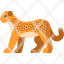cheetah-icon