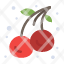 cherries-cherry-food-fruit-icon