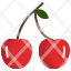 cherries-food-cherry-fruit-icon