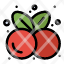 cherries-food-fruit-healthy-summer-icon