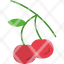 cherries-fruit-food-cherry-healthy-icon
