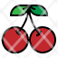cherry-berry-food-fruit-icon