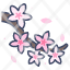 cherry-blossom-floral-flower-japanese-sakura-icon
