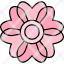 cherry-blossom-flower-japanese-pink-sakura-spring-icon
