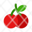 cherry-chocoate-plant-icon