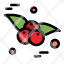 cherry-food-fruit-icon