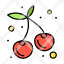 cherry-fruit-healthy-icon