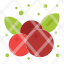 cherry-fruit-thanksgiving-cherries-icon
