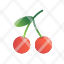 cherry-healthy.fruit-icon