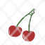 cherry-icon