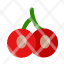 cherry-slice-red-icon