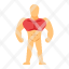 chest-muscle-anatomy-training-bodybuilding-bodybuilder-icon