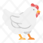 chicken-animal-farm-food-hen-meat-icon