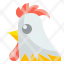chicken-animal-wildlife-meat-farm-hen-turkey-icon
