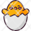 chickenanimal-egg-shell-farming-animal-kingdom-zoo-gardening-wild-life-icon