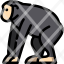 chimpanzee-icon