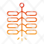 chinese-fire-cracker-festival-culture-chinese-firework-icon