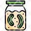 chinese-food-filloutline-pickles-jar-vegetarian-healthy-icon